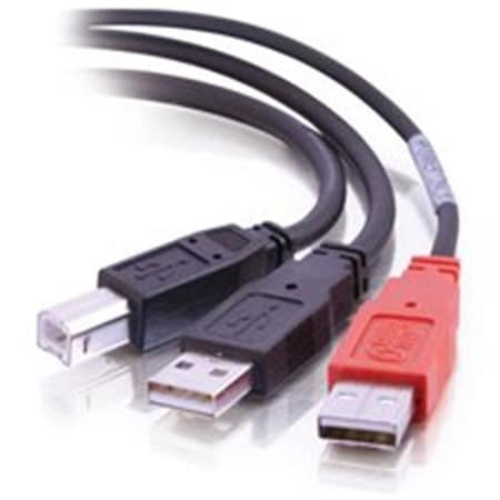 6ft USB 2.0 One B Male To Two A Male Y-Cable